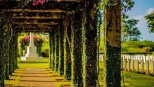 Chennai Masdras War Cemetary Wallpaper