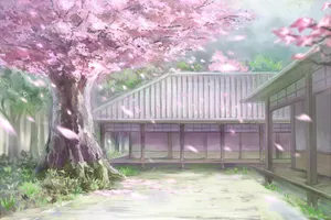 Cherry Blossoms Anime Scenery Falling Leaves Wallpaper