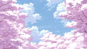 Cherry Blossoms Anime Scenery Light Pink Clear Skies Wallpaper