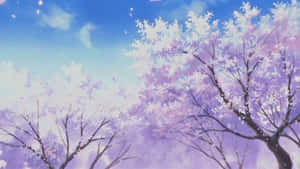 Cherry Blossoms Anime Scenery Light Purple Wallpaper