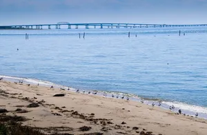 Chesapeake Bay's Shoreline Wallpaper