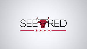 Chicago Bulls All White Logo Wallpaper