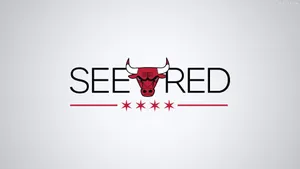 Chicago Bulls All White Logo Wallpaper