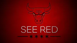 Chicago Bulls Four Black Stars Logo Wallpaper