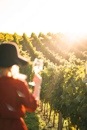 Chill Iphone Woman At Sunny Vineyard Wallpaper