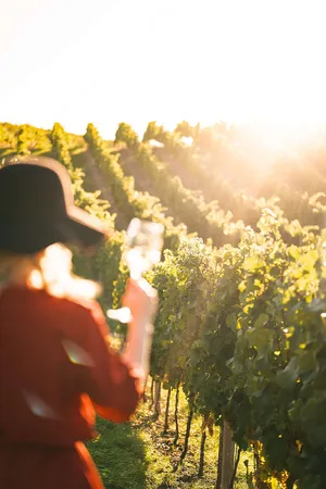 Chill Iphone Woman At Sunny Vineyard Wallpaper