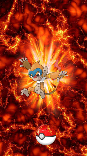 Chimchar Evolution Into Monferno Pokemon Wallpaper