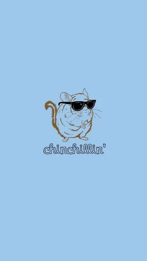 Chinchillin' Chinchilla Funny Phone Wallpaper