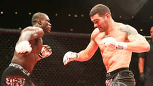 Chris Weidman Uriah Hall Fighting Wallpaper