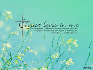 Christian Verse Teal Floral Wallpaper