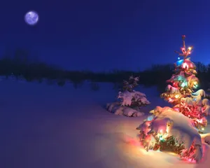 Christmas Scenes Outdoor Christmas Tree Wallpaper