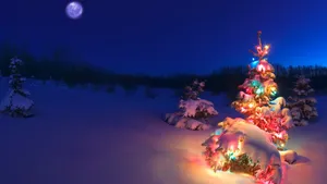 Christmas Tree In The Snow With Lights Wallpaper