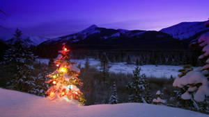 Christmas Tree Light Wallpaper