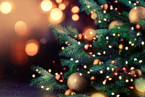 Christmas Tree Screen Saver With Lights Wallpaper