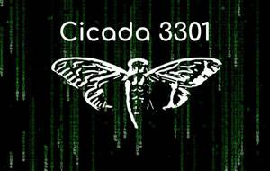 Cicada Matrix Art Wallpaper