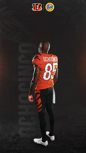 Cincinnati Bengals Chad Ochocinco Johnson Wallpaper