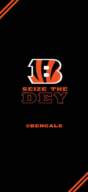 Cincinnati Bengals Seize The Dey Wallpaper