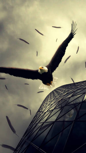 Cinematic Aguila Gliding Down A Building Wallpaper