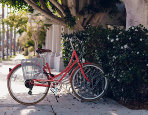 City Red Bike Wallpaper