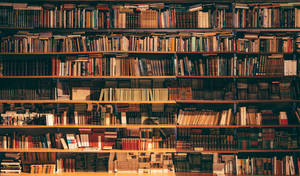 Classic Library Shelves Wallpaper