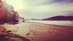 Classic Summer Getaway Wallpaper