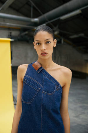 Claudie Pierlot Denim One Shoulder Top Wallpaper