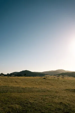 Clear Meadow Fields Wallpaper