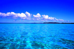 Clear Sky Over Caribbean Sea Wallpaper