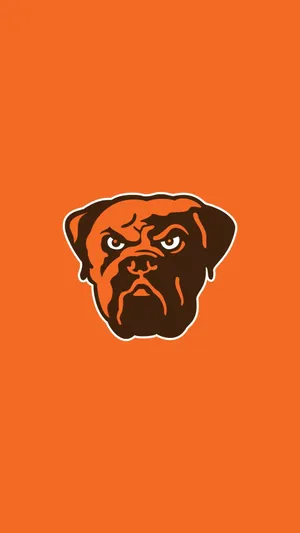 Cleveland Browns Mascoti Phone Wallpaper Wallpaper