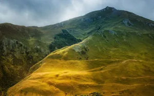 Climb Up The Green Mountain And See The World Wallpaper