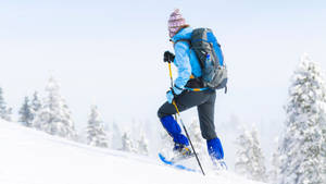 Climbing Up The Snowy Hill Snowshoeing Wallpaper