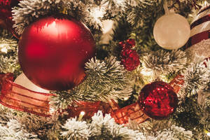 Close-up High Resolution Christmas Tree Wallpaper