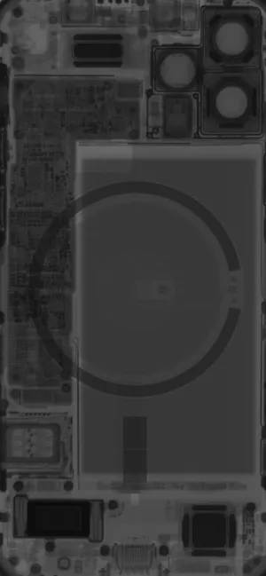 Close-up Of A Beautiful Daisy Flower Wallpaper