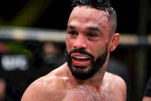 Close-up Of Rob Font Wallpaper