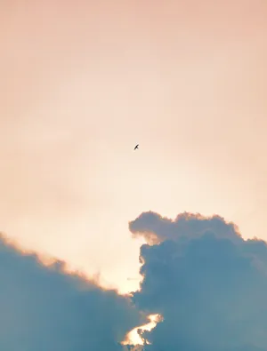 Clouds Over Pinkish Beige Sky Wallpaper