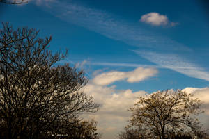 Cloudy Azure Sky With Trees Wallpaper