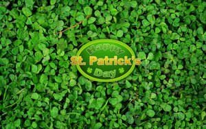 Clover Art St Patrick's Day Wallpaper