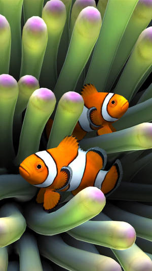 Clown Fish By The Reef Iphone Wallpaper