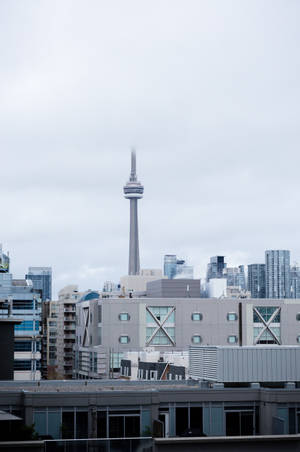 Cn Tower From Afar Wallpaper