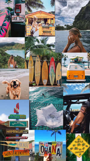 Collage Beach Hawaii Aesthetic Mobile Wallpaper