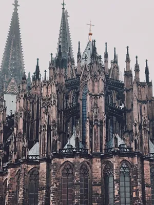 Cologne Cathedral Aesthetic Phone Wallpaper