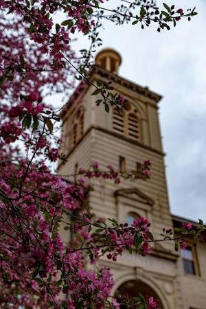 Colorado School Of Mines Tower From Below Wallpaper