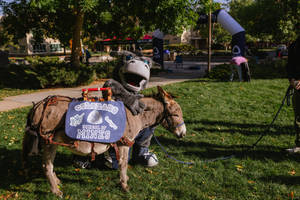 Colorado School Of Mines Two Mascots Wallpaper