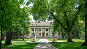 Colorado State University Town Hall Wallpaper