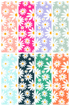 Colorful Daisy Patterns Collection Wallpaper