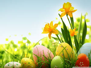 Colorful Easter Tradition Wallpaper