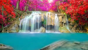 Colorful Floral Scene At Erawan Waterfall In Thailand Wallpaper