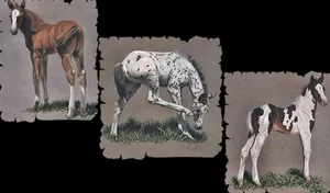 Colorful Horse Collage Wallpaper