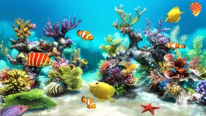 Colorful Live Fish Swimming In A Tropical Aquarium Wallpaper