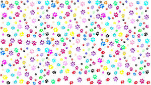 Colorful Paw Print Patterns Wallpaper